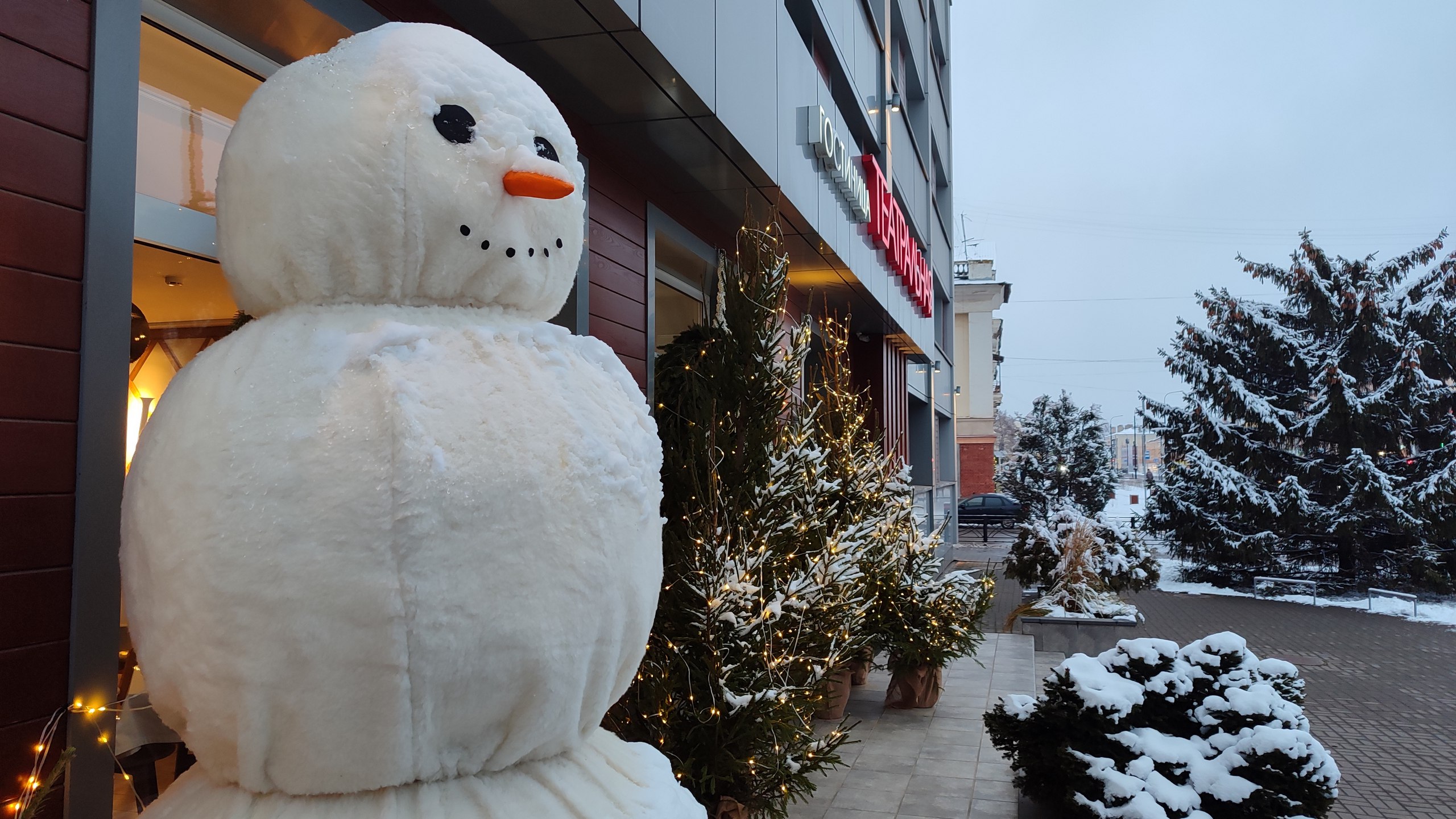 До Нового года осталось 20 дней До Нового года осталось 20 дней