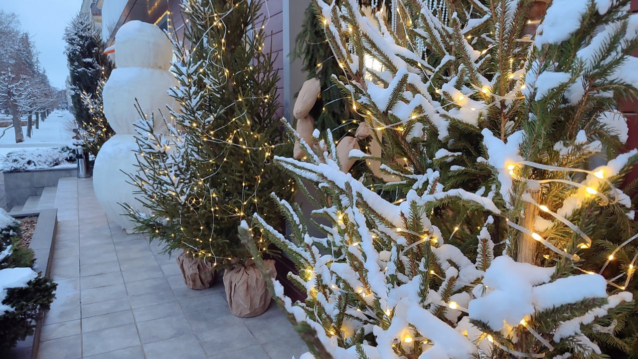 До Нового года остаётся всего 20 дней, и в Тамбове уже царит по-настоящему праздничное настроение До Нового года остаётся всего 20 дней, и в Тамбове уже царит по-настоящему праздничное настроение