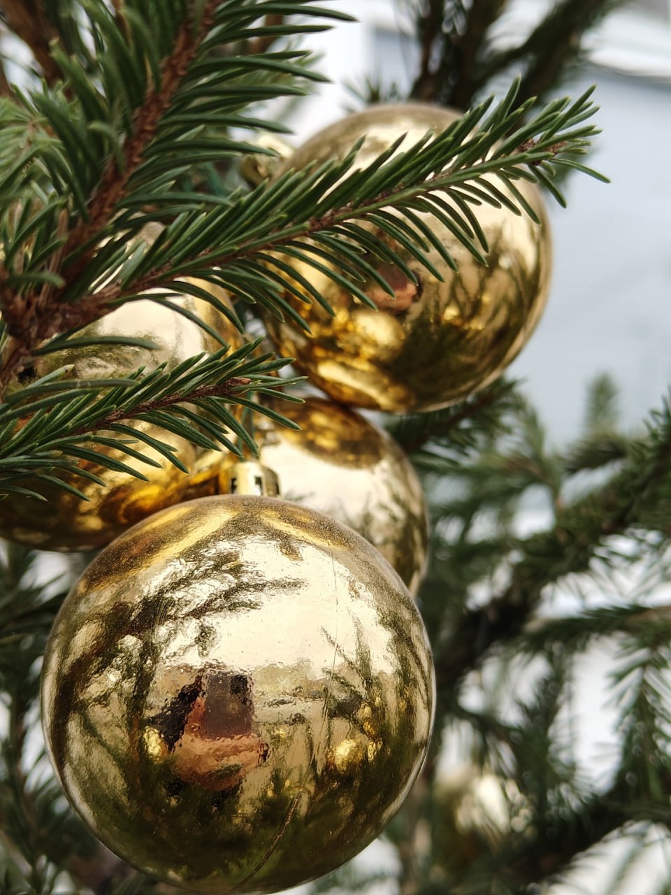 До Нового года остаётся всего 20 дней, и в Тамбове уже царит по-настоящему праздничное настроение До Нового года остаётся всего 20 дней, и в Тамбове уже царит по-настоящему праздничное настроение