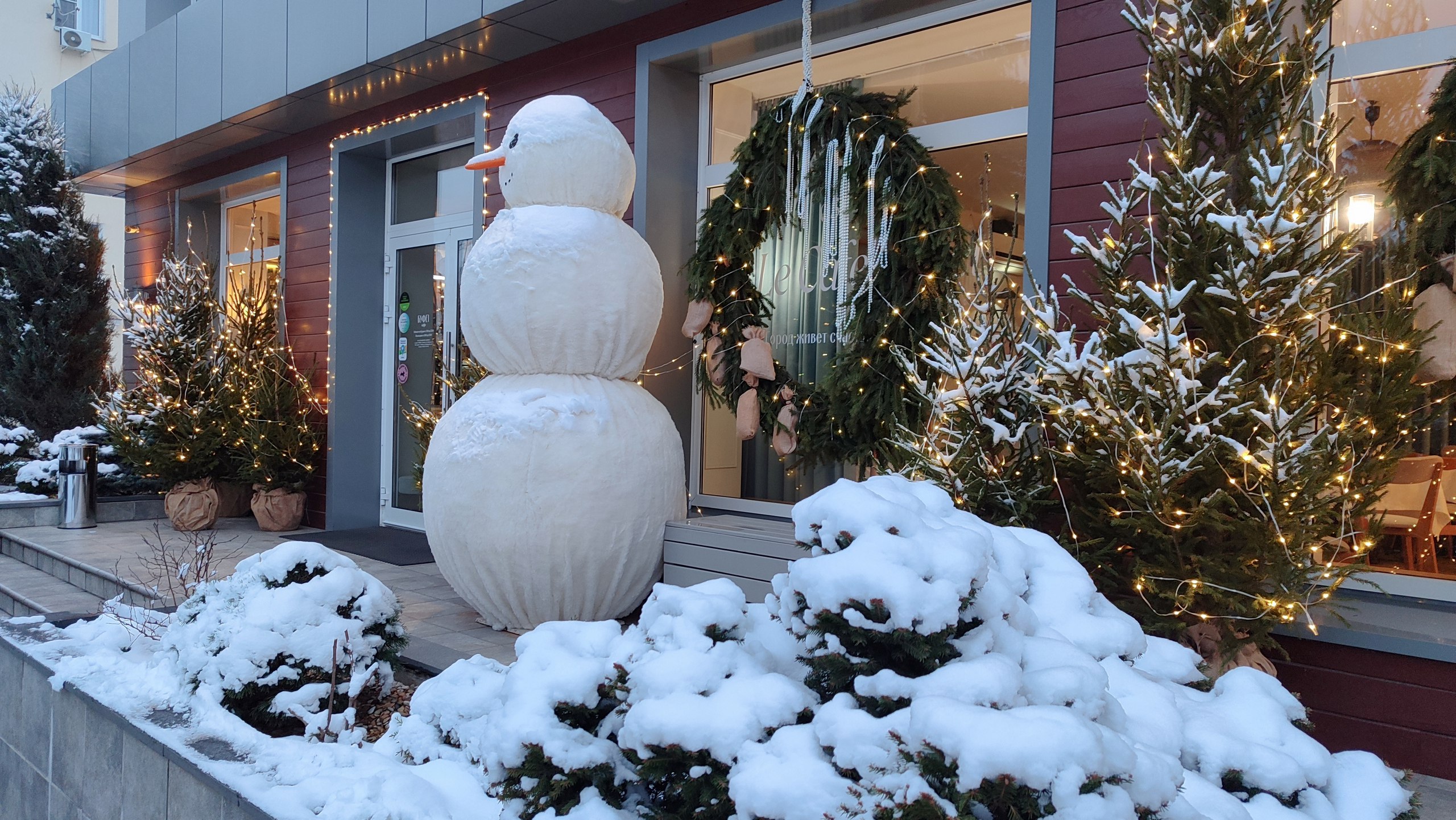 До Нового года осталось 20 дней До Нового года осталось 20 дней