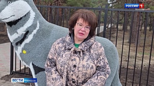 Завершилась «Прямая линия» главы региона, её трансляцию вели из этой студии