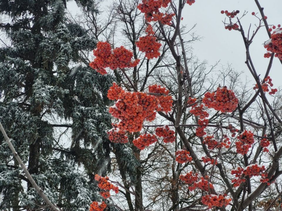 ������ ����, ������!. ��������� ������� ������ �������� �� ���� ������� � �������� � �� 3 �������� ��� �� ������������