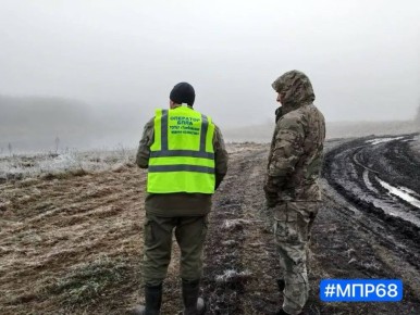 В Тамбовской области на возможное загрязнение проверили водоёмы у свекольных полей
