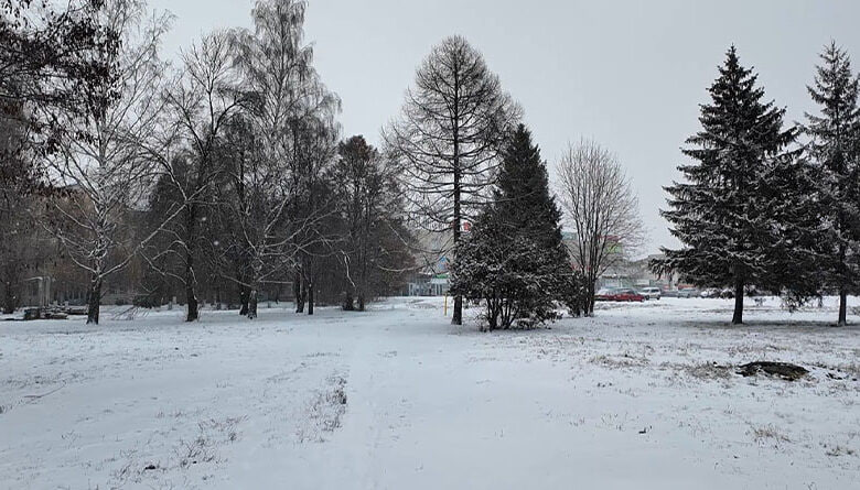 Резкое похолодание и сильные порывы ветра: синоптики о погоде в Тамбовской области