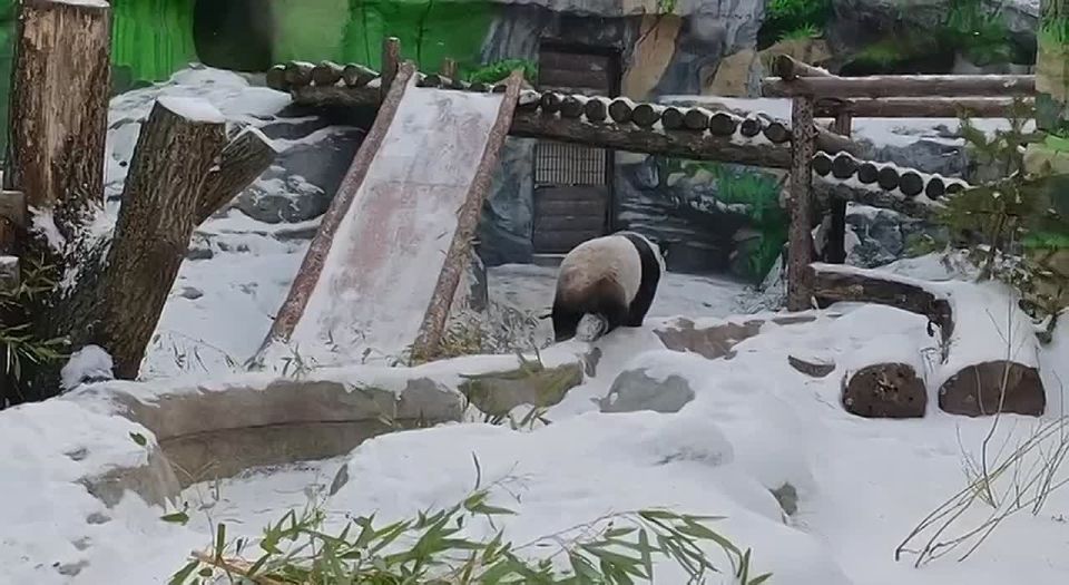 ������ �������� ��������� ����