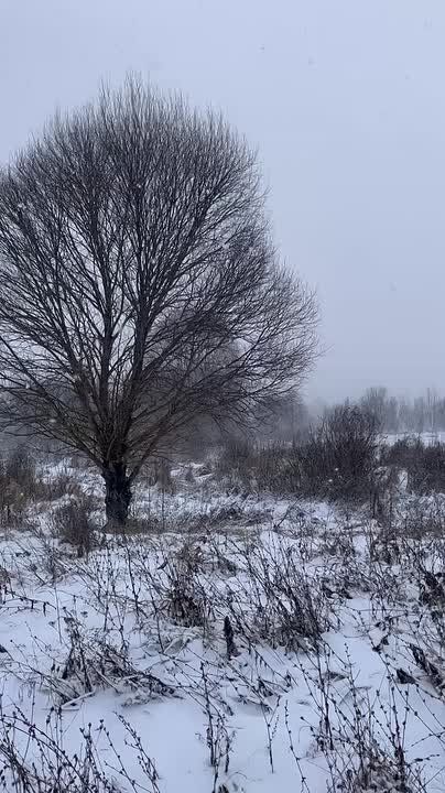 �� ������� ������ ���� ����