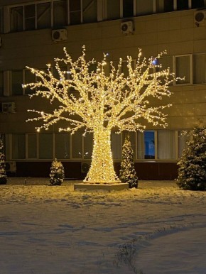 Главное в ТОПе за 13 декабря: