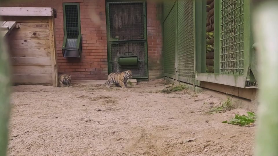 ��� �������� �������� � ������ ��������������� ������ ����� �������� ����������� ��������