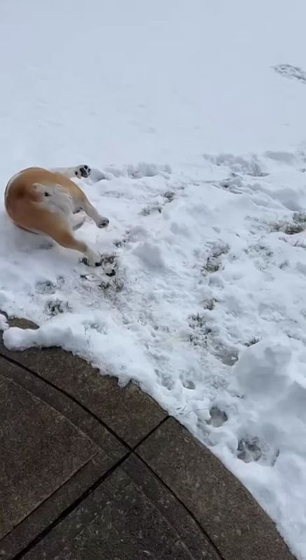 ��� ��� ��� ����� ����?