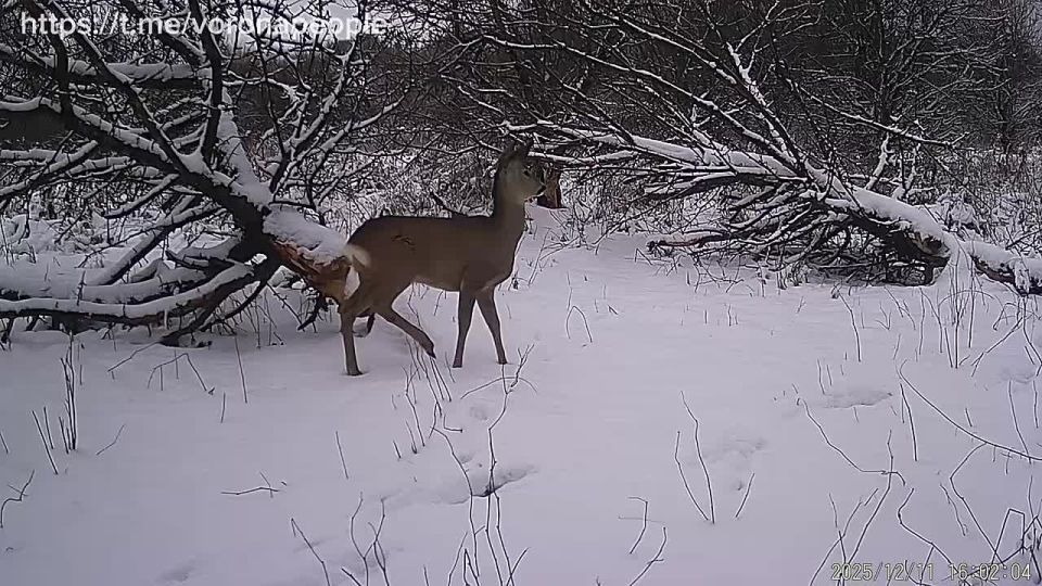 ������ � ����������� ����. ����� �������� ������, �� ������ �� ������