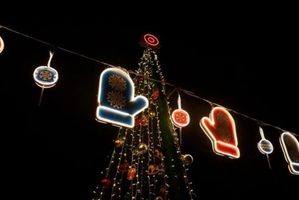 В Тамбове установят новые ёлки в Парке Победы и у «Кристалла»