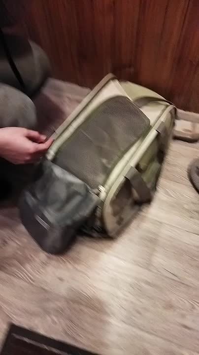 Хорошие новости! Кошка Эльза из Котокафе обрела семью