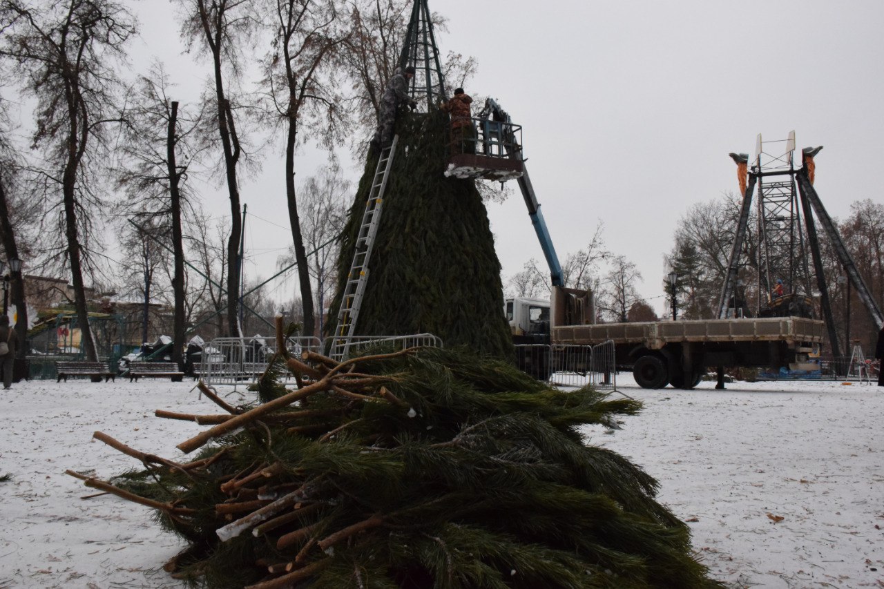 В городском парке культуры и отдыха Тамбова впервые установят большую ёлку В городском парке культуры и отдыха Тамбова впервые установят большую ёлку