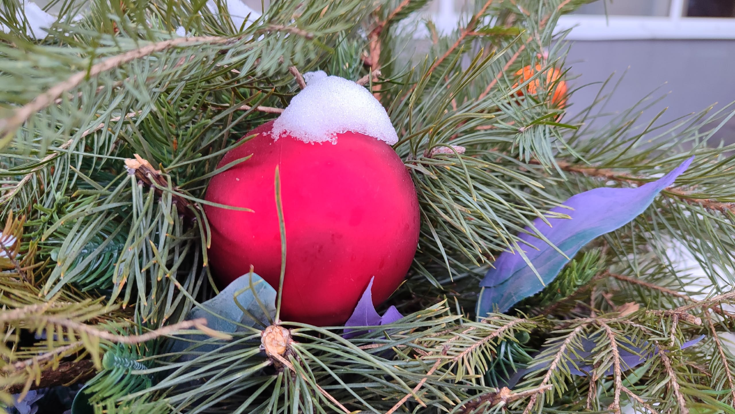 До Нового года остается 16 дней До Нового года остается 16 дней