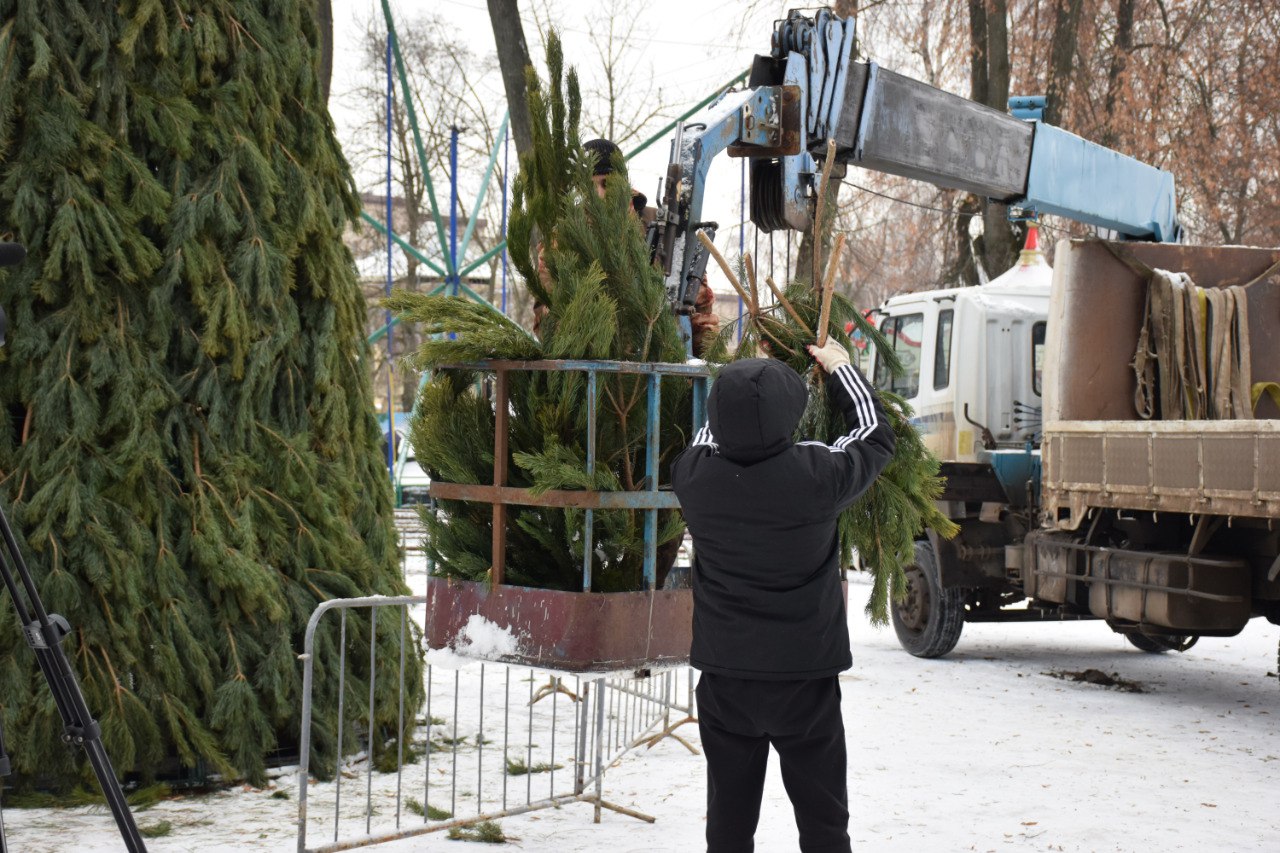В городском парке культуры и отдыха Тамбова впервые установят большую ёлку