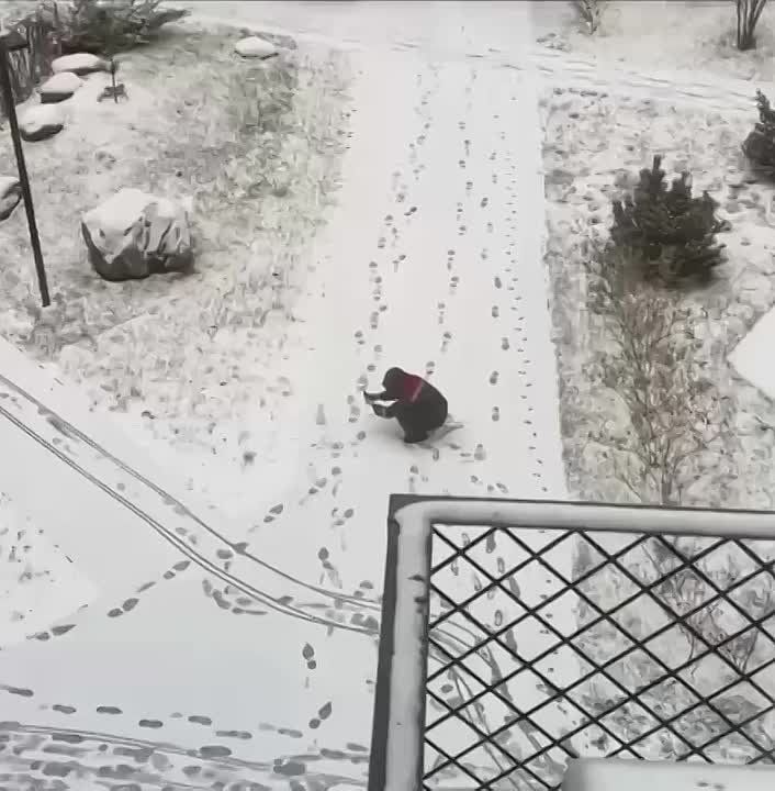 ��� ��������, ����� ������ �������� ������ �� �����