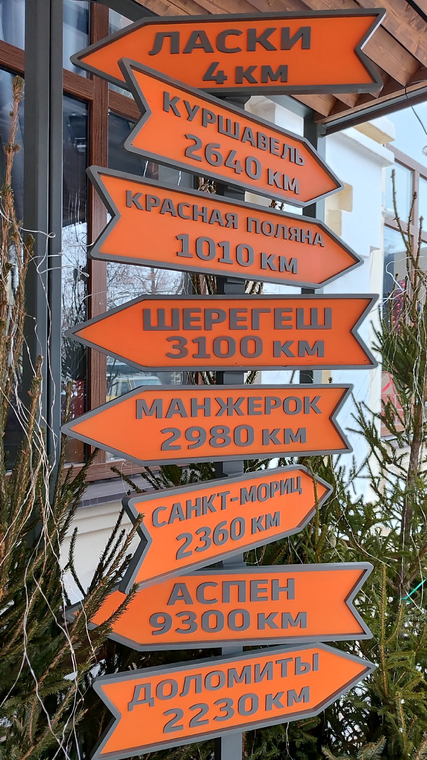 До Нового года остается 16 дней До Нового года остается 16 дней