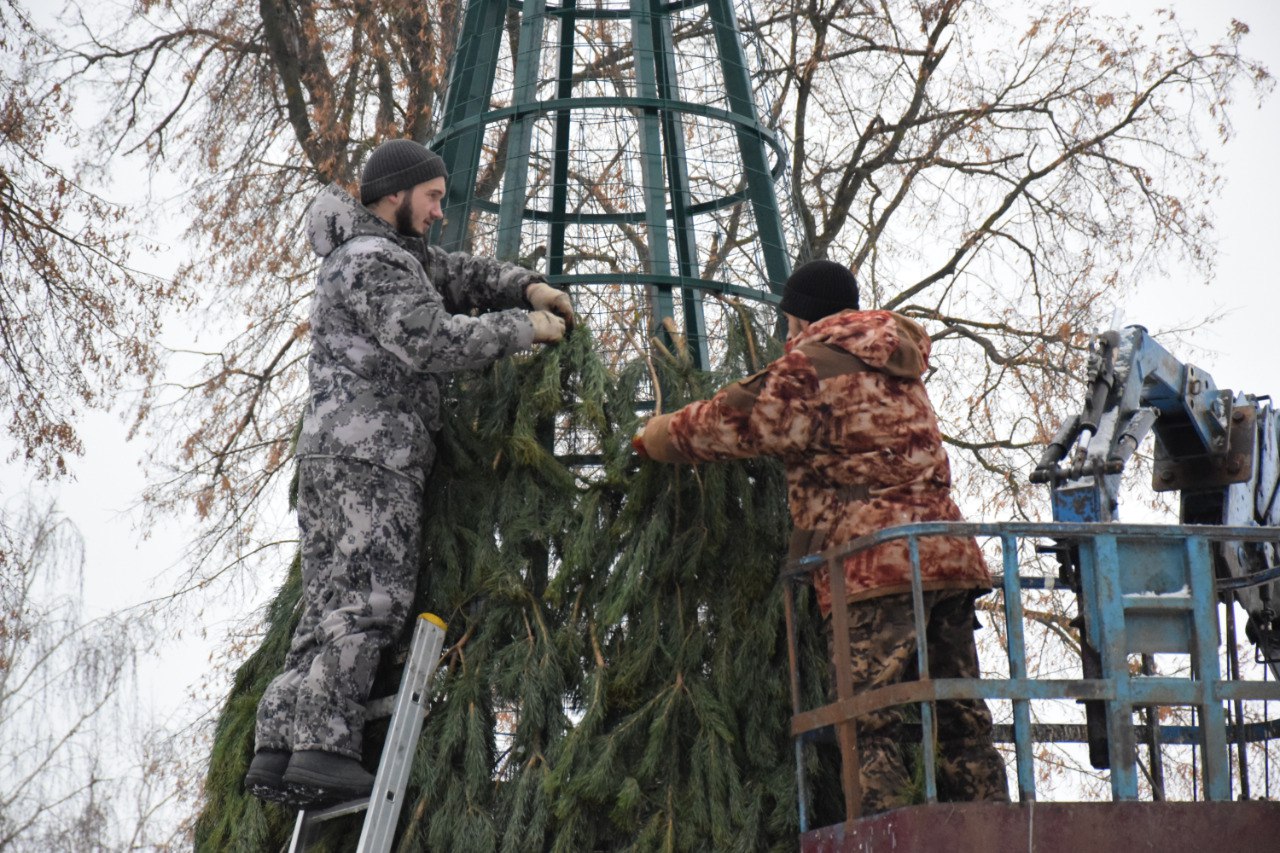 В городском парке культуры и отдыха Тамбова впервые установят большую ёлку В городском парке культуры и отдыха Тамбова впервые установят большую ёлку