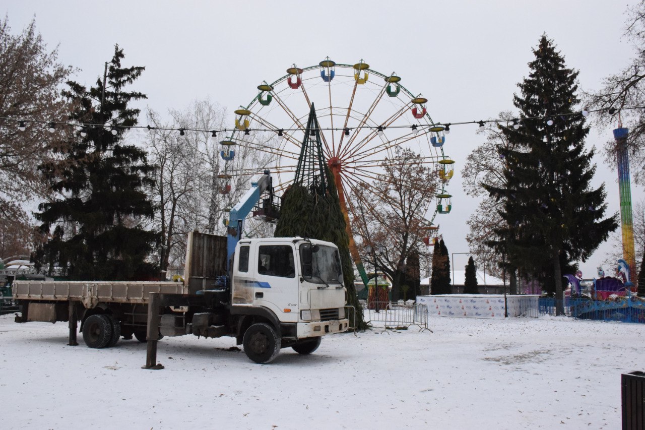 В городском парке культуры и отдыха Тамбова впервые установят большую ёлку В городском парке культуры и отдыха Тамбова впервые установят большую ёлку
