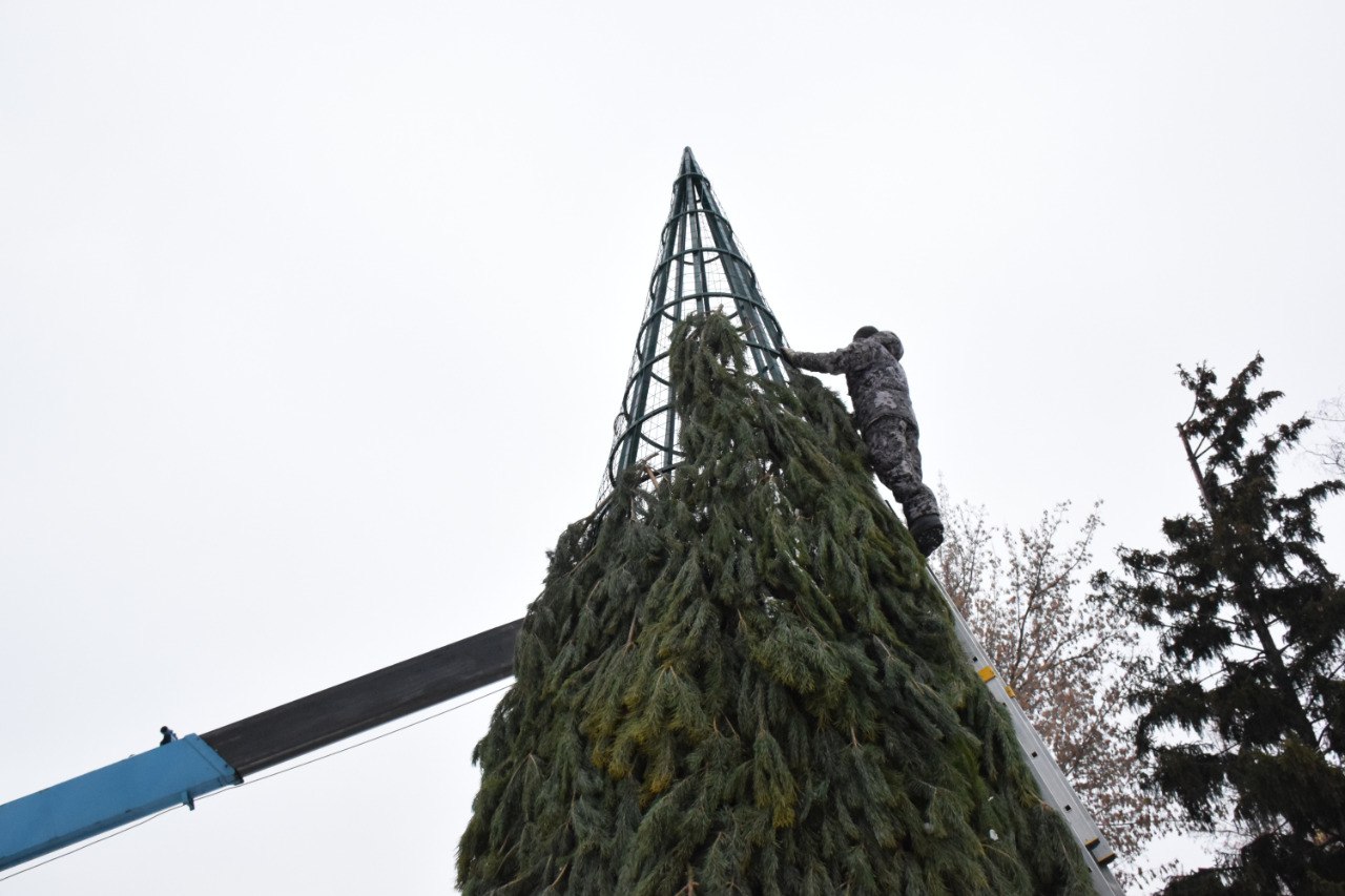 В городском парке культуры и отдыха Тамбова впервые установят большую ёлку В городском парке культуры и отдыха Тамбова впервые установят большую ёлку