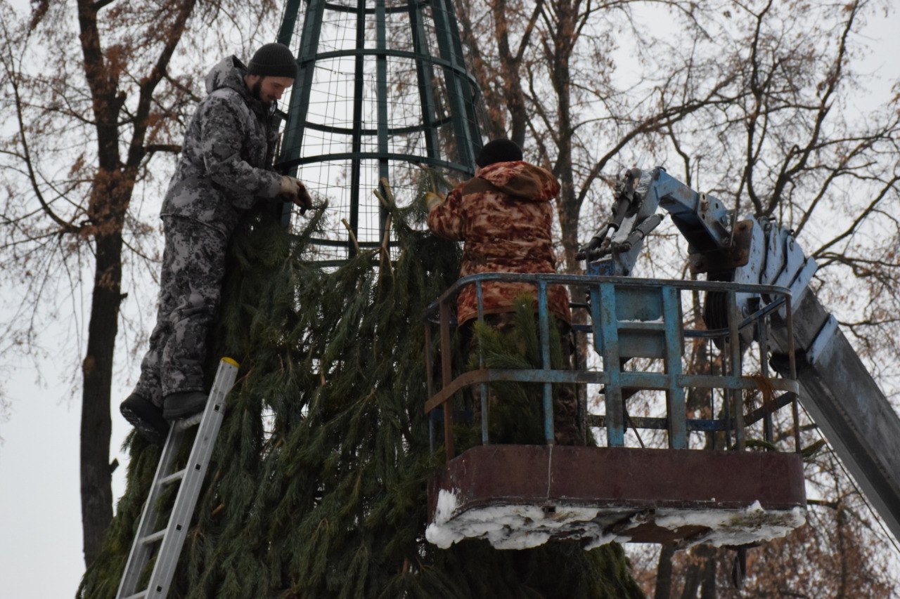 В городском парке культуры и отдыха Тамбова впервые установят большую ёлку В городском парке культуры и отдыха Тамбова впервые установят большую ёлку