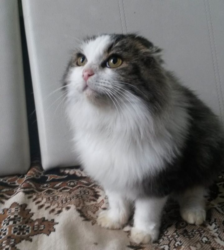 ���� �����: ��� ���� ���. ���� ����� � ������� �� ����� ����