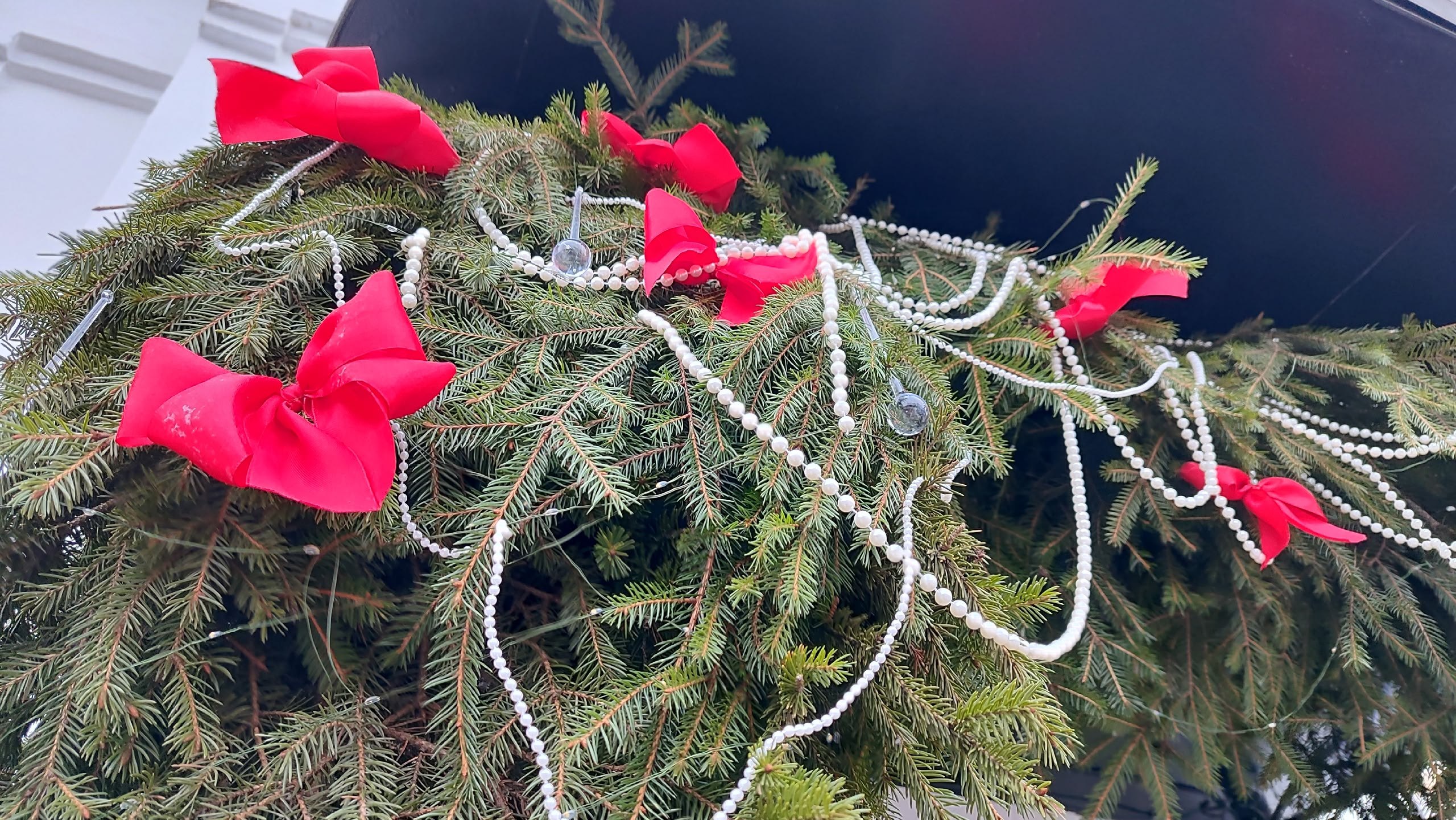 До Нового года остается 16 дней До Нового года остается 16 дней