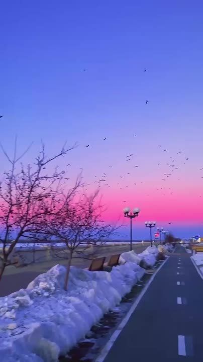 ������ �������� ���������. ����� � ������ ���������