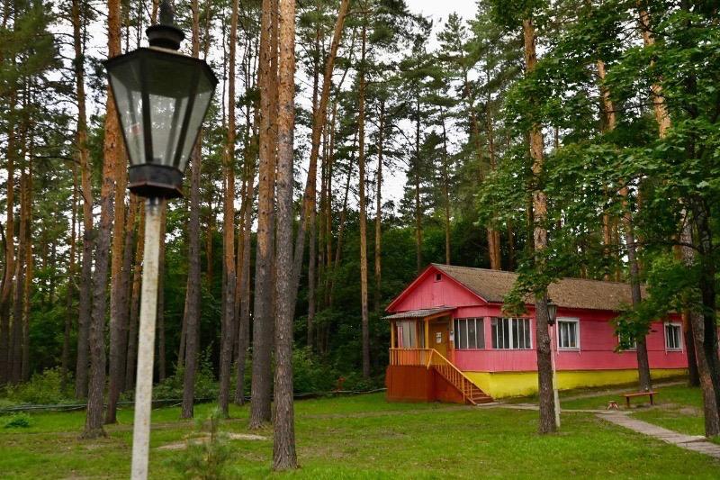 В Тамбовской области в 2026 году обновят три детских лагеря