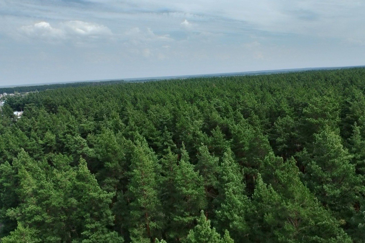 На протяжении нескольких лет Тамбовская область по оценке Минэкономразвития России находится в числе регионов - лидеров по организации контрольно-надзорной деятельности