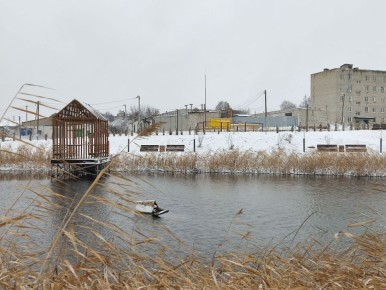 ���� � ����������� ���������� ����� ������ ��� �� ����