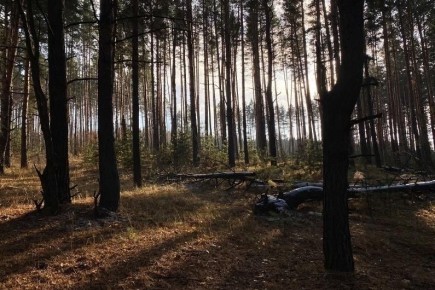 ����� 250 ��������� ������� ������� � ���������� ������� � ������ ����