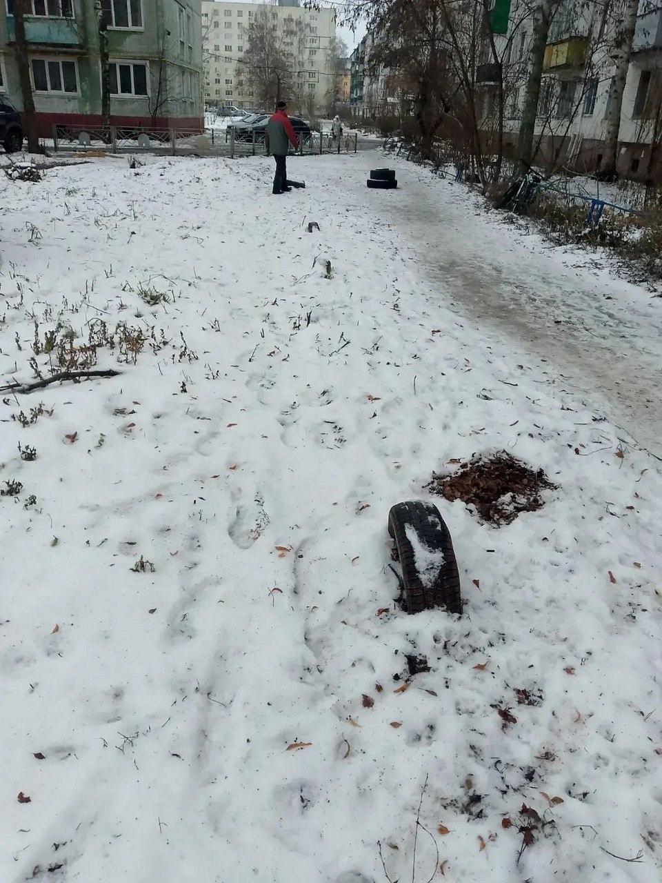 Городские службы наводят красоту и порядок на улицах Тамбова, не только устанавливая новогодние ели и инсталляции, но и освобождая территории от мусора и хлама Городские службы наводят красоту и порядок на улицах Тамбова, не только устанавливая новогодние ели и инсталляции, но и освобождая территории от мусора и хлама