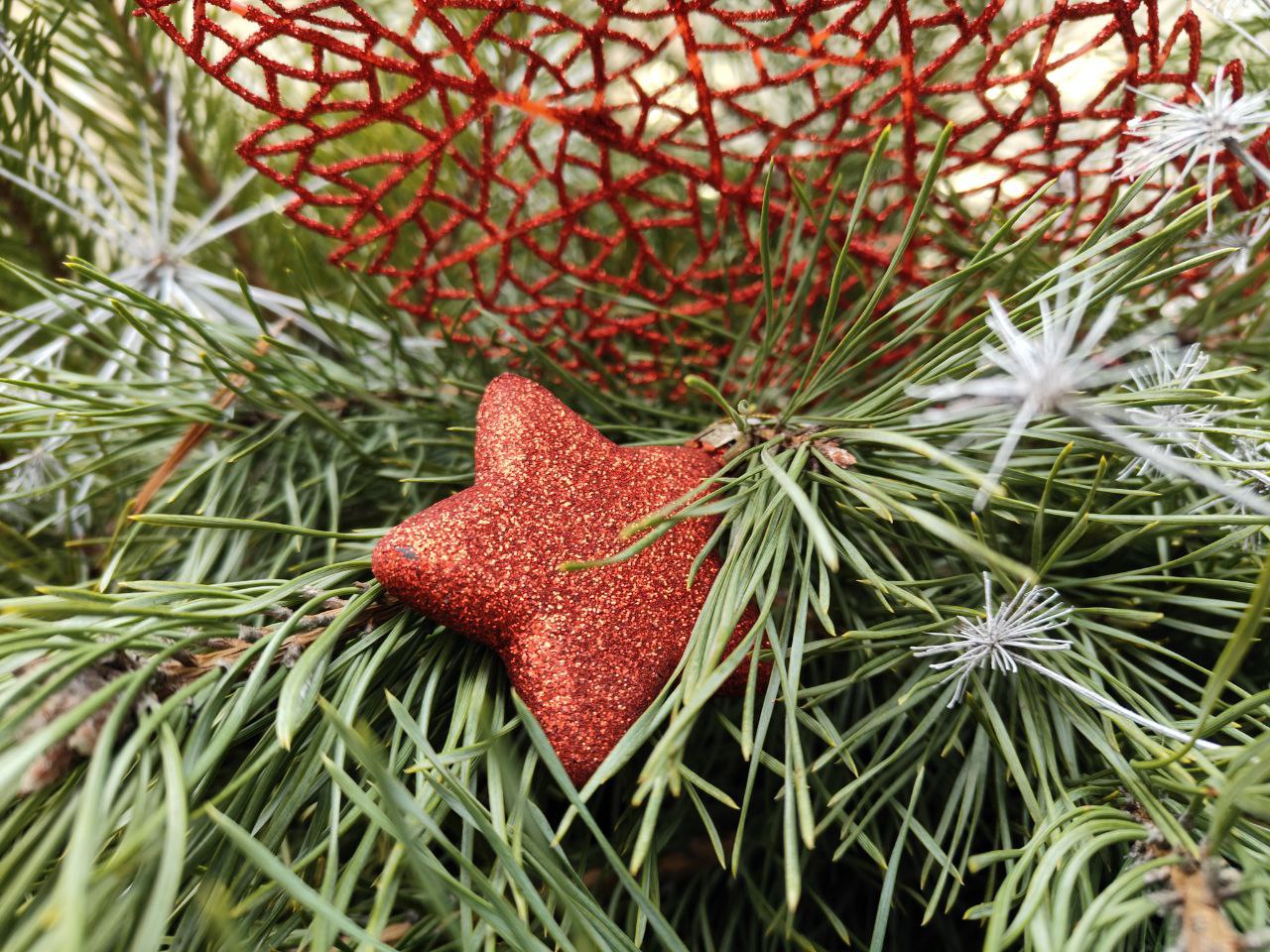 До Нового года осталось ровно две недели До Нового года осталось ровно две недели