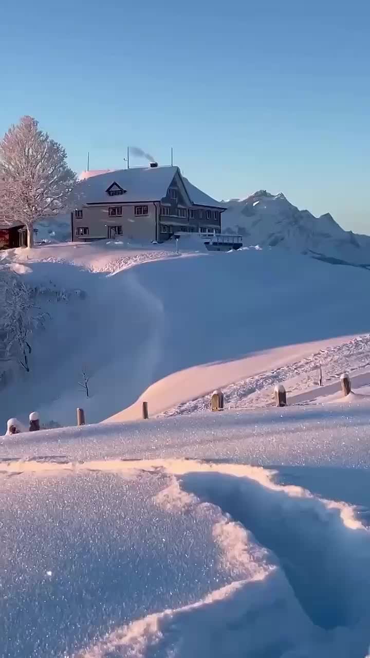 Вместо вечерней медитации