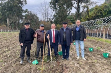 Тамбовские ученые из Научно-производственного центра «Агропищепром» заложили «Мичуринский сад» на территории Института сельского хозяйства Академии наук в Республике Абхазия