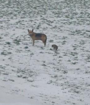 ���� �����: ������ � ����� ���� ���