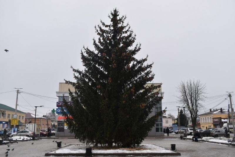 Главные ёлки Моршанску и селу Пичаево подарили местные жители