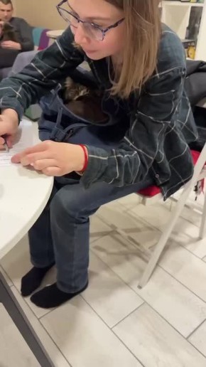 ������� �������! ����� ������ �� �������� ������ �����