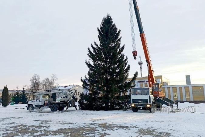 Главные ёлки Моршанску и селу Пичаево подарили местные жители Главные ёлки Моршанску и селу Пичаево подарили местные жители