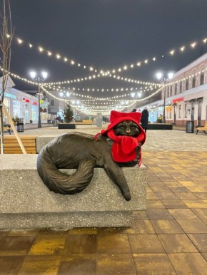 ���������� �������������: ��� �������� ��������� � �������?