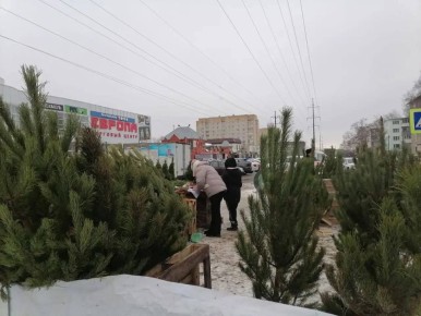 В Тамбове зажглись новогодние огни и началась охота на «ёлочных пиратов»