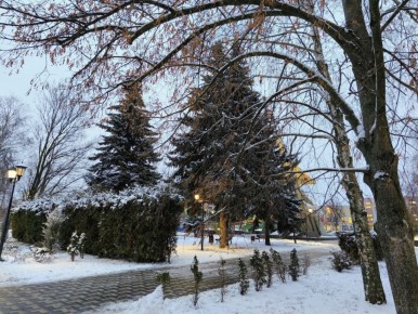 ���� ����� ��������: ��������� � ������ � ���������� �������