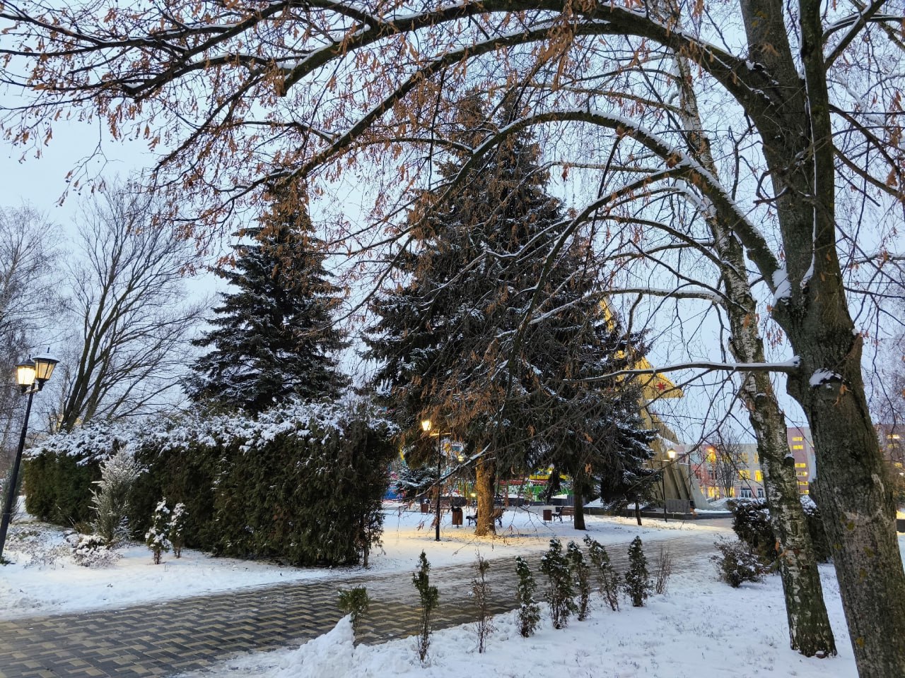 Зима скоро вернётся: синоптики о погоде в Тамбовской области