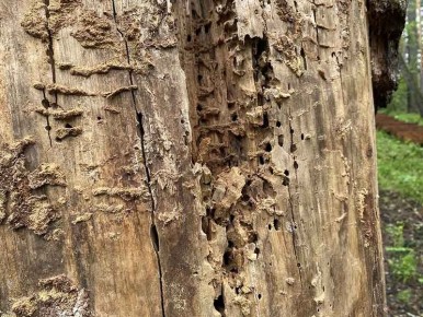 ����� ����� ����������� ����� �������� ������� ���� � ������ � �����������