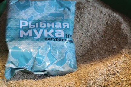 Рыбная мука: как увеличить привесы поросят и вернуть прибыль свиноводству