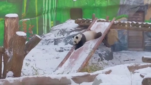 ����������: ���������� �������� � �����