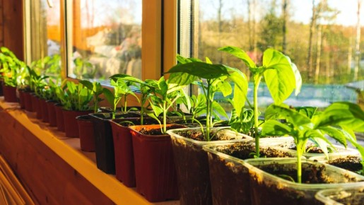 �� ��� ������ ��� � ��������: ��� ����� ���������� ��������� ����� ��������