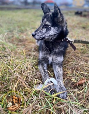 ���� �����: ���� ���� ���. ������, ������� ���� � ������ ������� ������