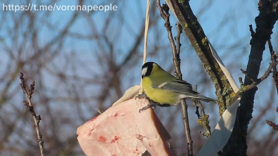 � ��� ���� ������ �� ��������� ������������� �������� �������, ��� ������� �� �������� ���� ������ ������ ������ ���� � ������ ��� � ������ �����